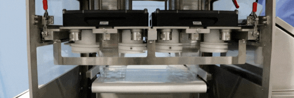 August 2025 End User Newsletter